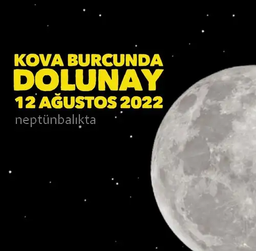 kova30 (1).webp