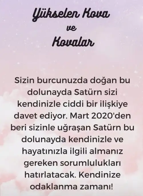 kova30 (12).webp