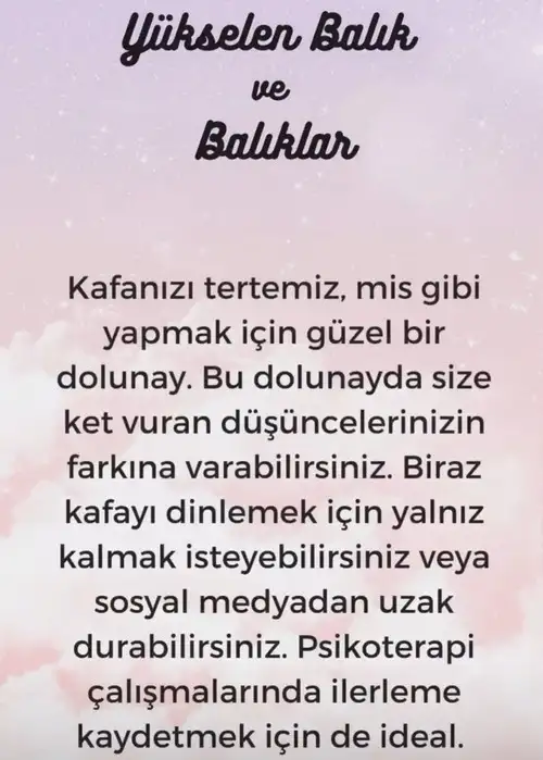 kova30 (13).webp