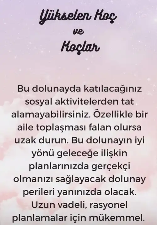 kova30 (2).webp