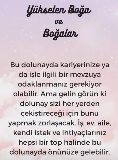 kova30 (3).webp