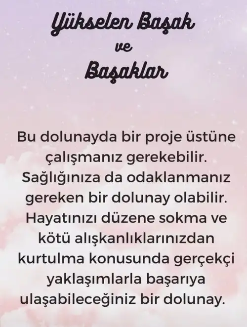 kova30 (7).webp