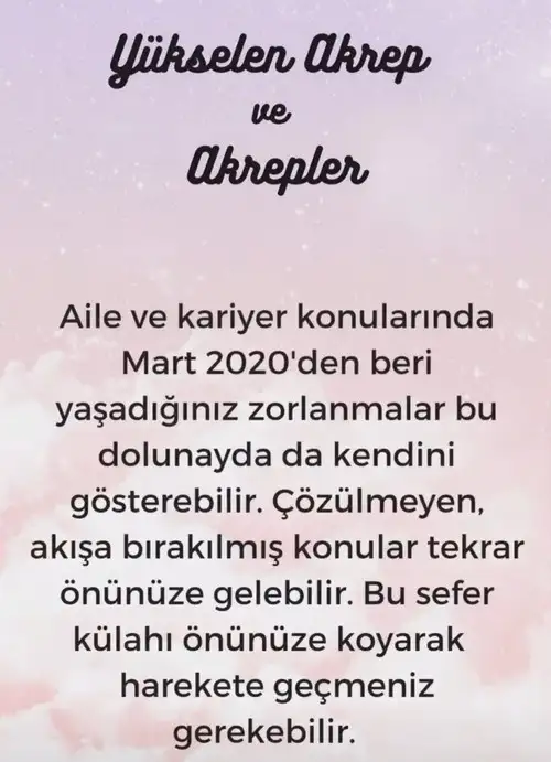 kova30 (9).webp