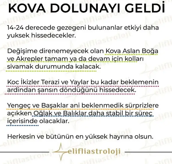 kova31.webp