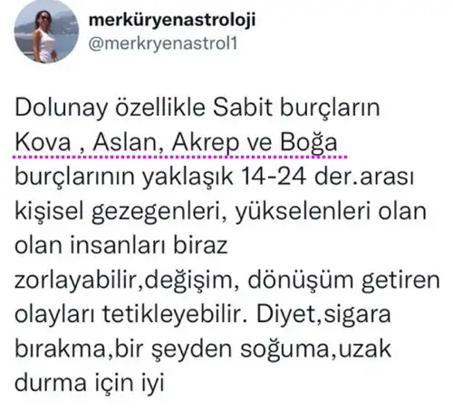 kova35 (1).webp