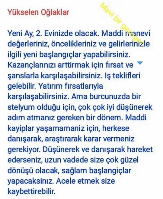 kova4 (12).webp