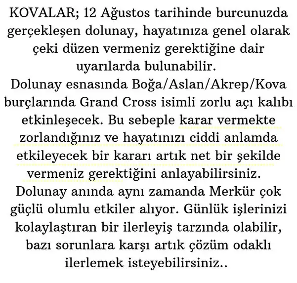 kova4 (12).webp