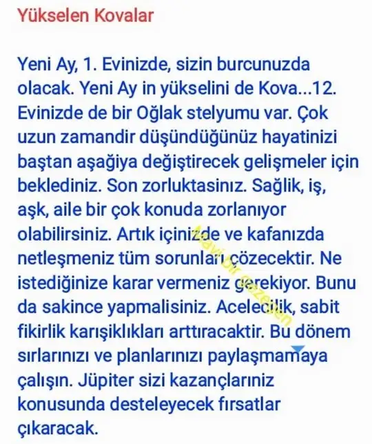 kova4 (13).webp