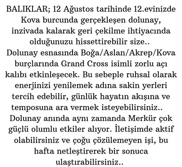 kova4 (13).webp