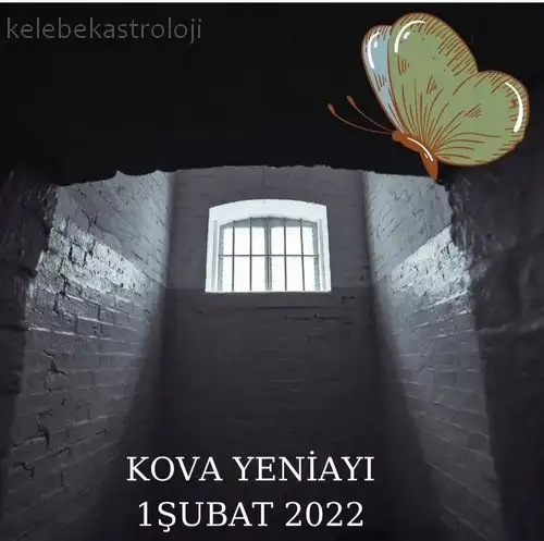 kova4 (15).webp