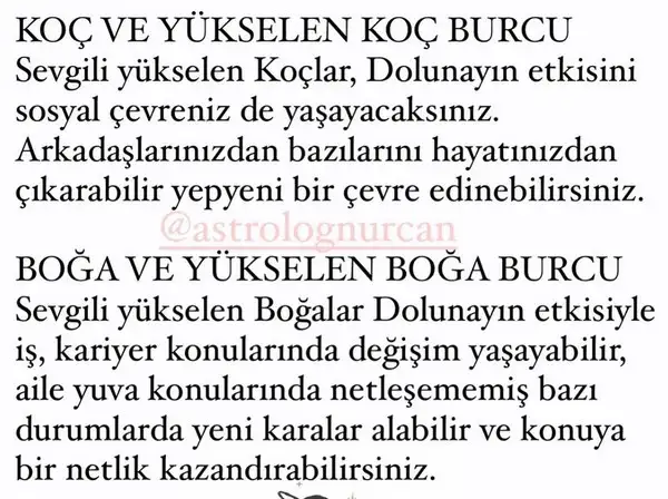 kova4 (2).webp