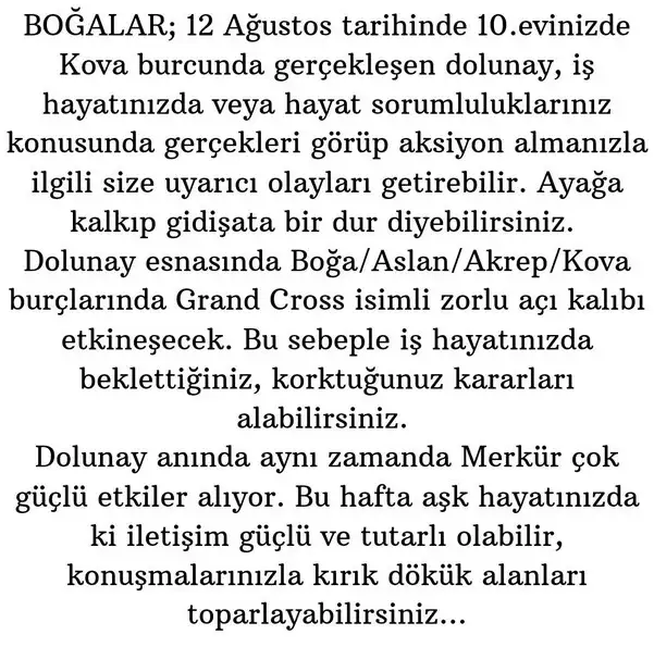 kova4 (3).webp