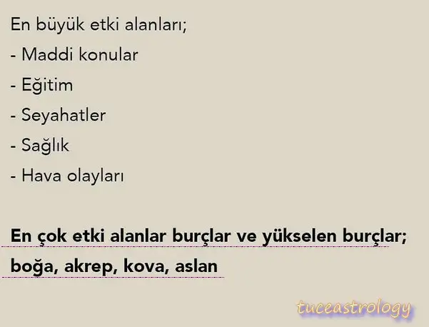 kova4 (4).webp