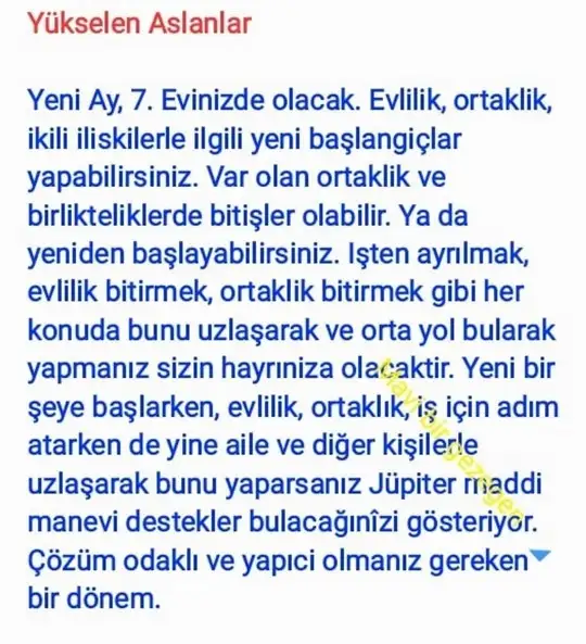 kova4 (7).webp