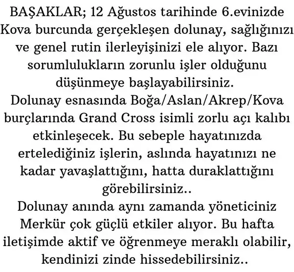 kova4 (7).webp
