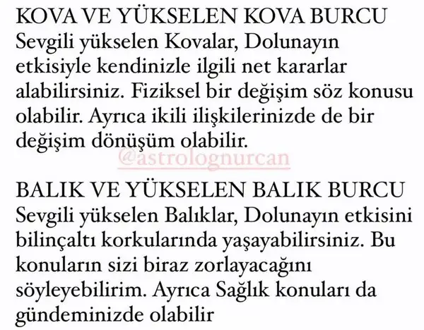 kova4 (7).webp