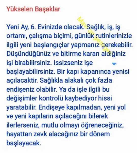 kova4 (8).webp