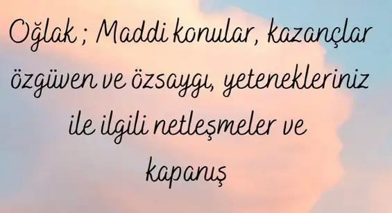 kova5 (10).webp