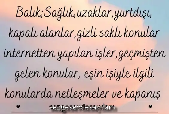 kova5 (12).webp