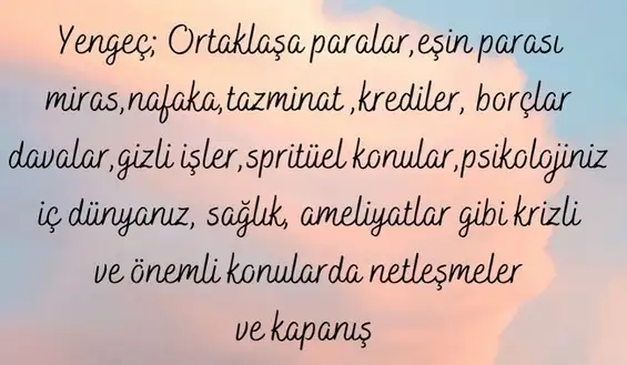 kova5 (4).webp