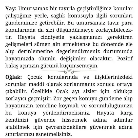 kova5 (6).webp