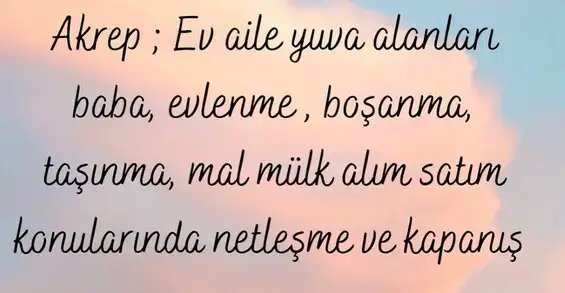 kova5 (8).webp