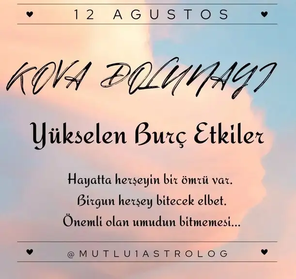 kova6 (1).webp