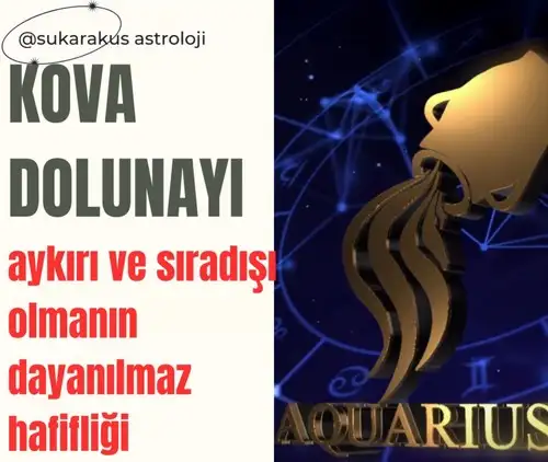 kova6 (1).webp