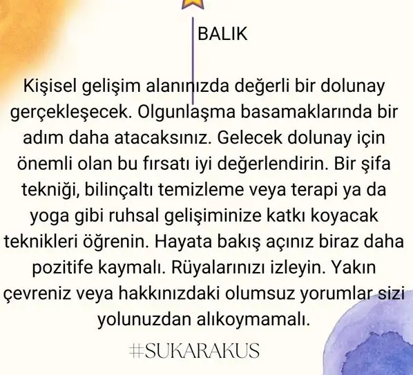 kova6 (13).webp