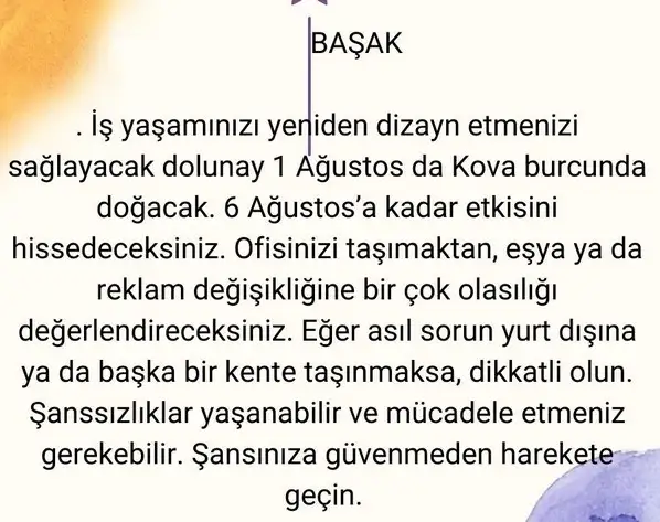 kova6 (7).webp