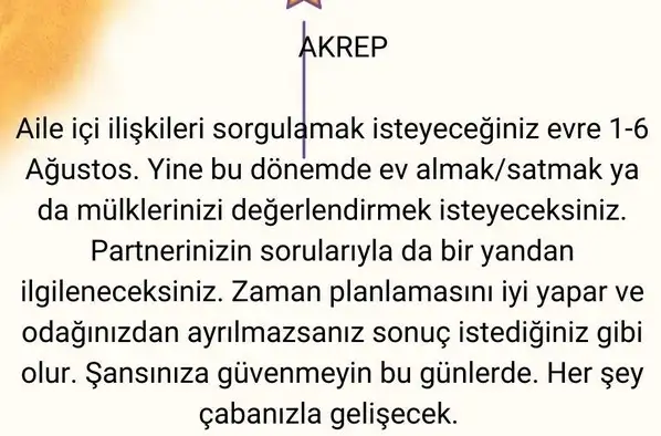 kova6 (9).webp