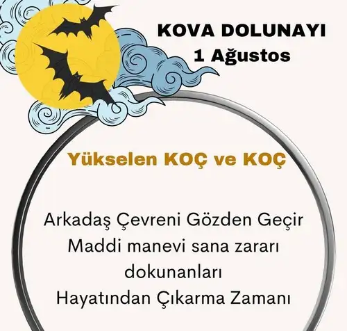 kova7 (1).webp
