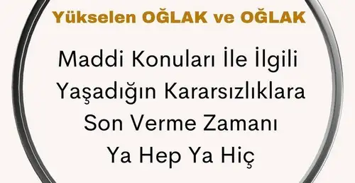 kova7 (10).webp