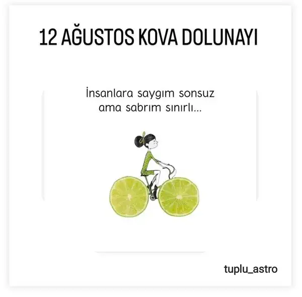 kova8 (1).webp