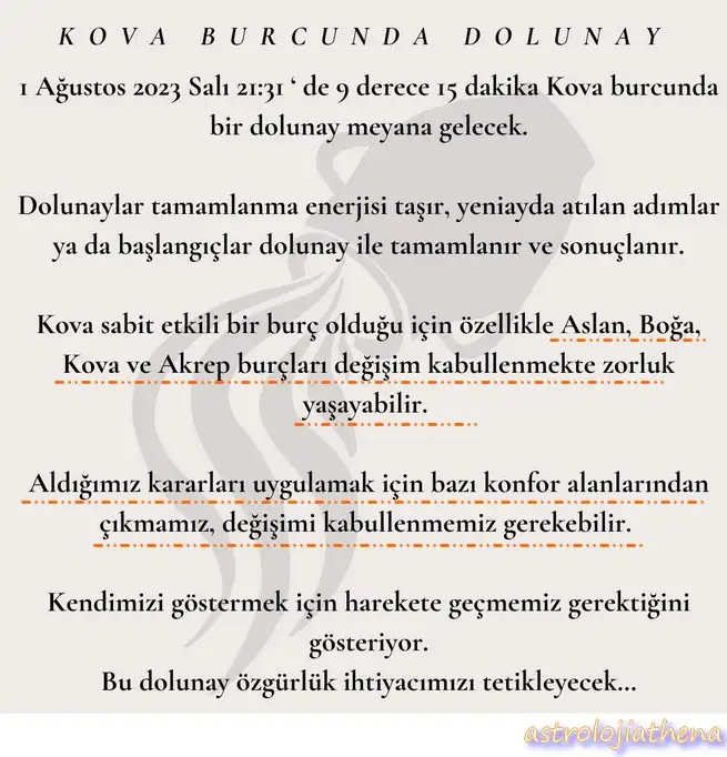 kova8 (1).webp