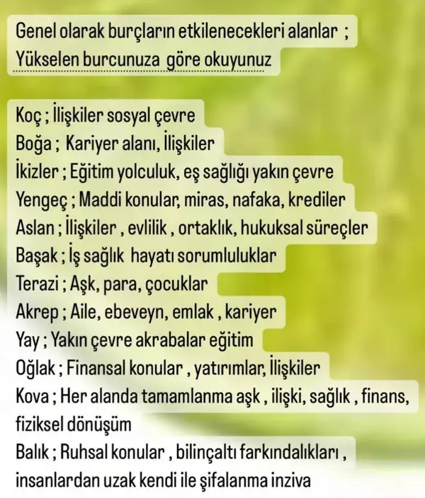 kova8 (2).webp