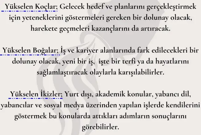 kova8 (2).webp