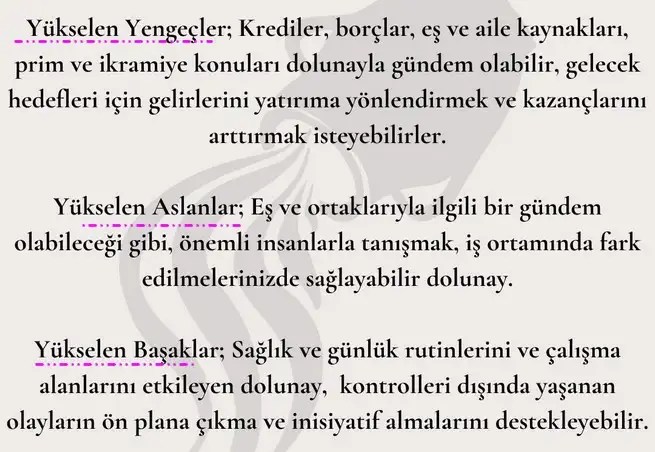 kova8 (3).webp