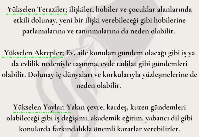 kova8 (4).webp