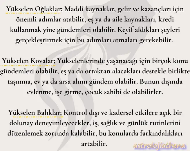 kova8 (5).webp