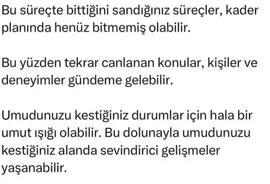 kova8 (7).webp