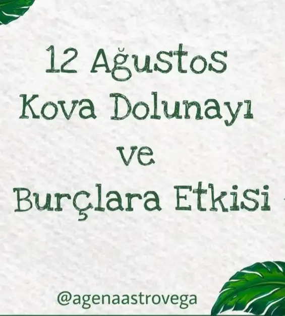 kova9 (1).webp