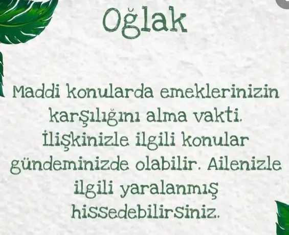kova9 (11).webp