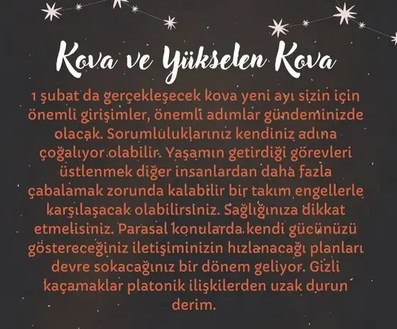 kova9 (12).webp