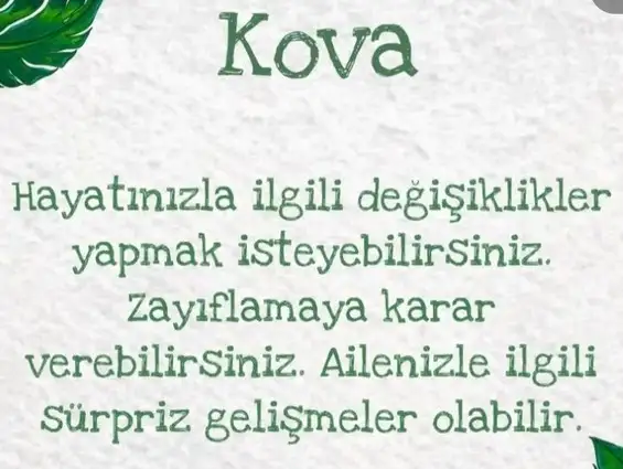 kova9 (12).webp