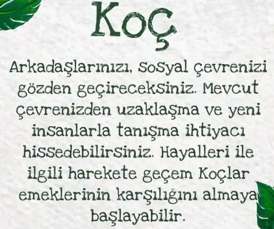kova9 (2).webp