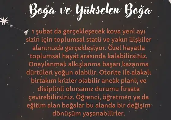 kova9 (3).webp