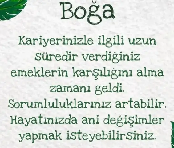 kova9 (3).webp
