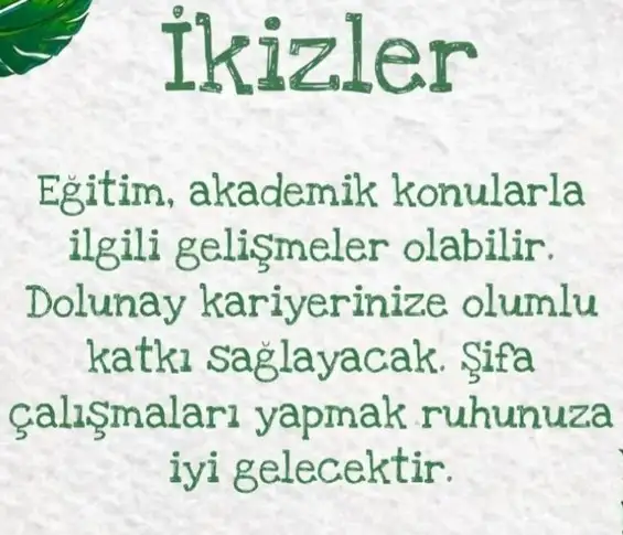 kova9 (4).webp