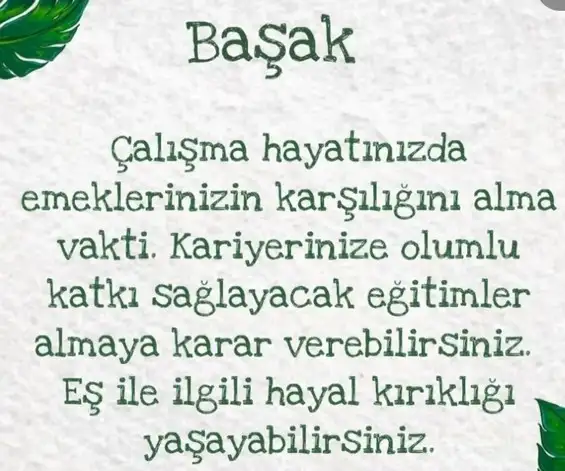 kova9 (7).webp